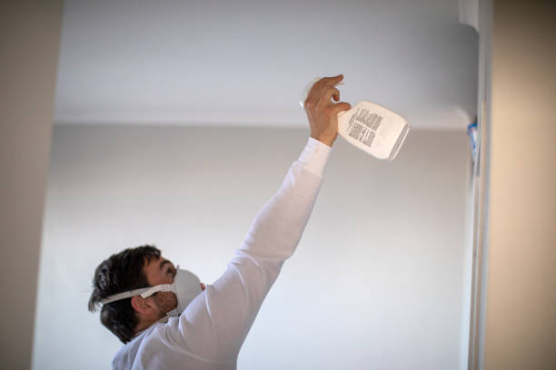 Best Mold Removal and Inspection  in South Hill, NY